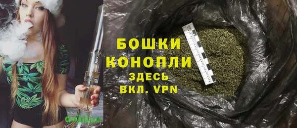 сатива Вязьма